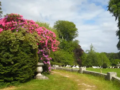 Photo of Enys Gardens, a Grade II registered house & garden near Flushing, Cornwall, south west England.