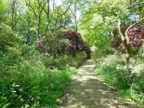 Photo of Borde Hill, a Grade II* registered house & garden near Cuckfield in the High Weald, West Sussex, south east England.