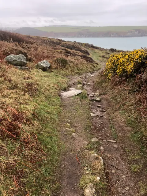 Photo of Tresiesyllt, a country estate near Fishguard, Pembrokeshire, south west Wales.
