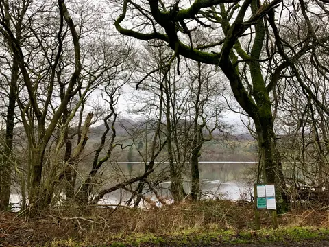 Photo of Loch of the Lowes Wildlife Reserve, a nature reserve near Birnam in the River Tay (Dunkeld), Perth and Kinross, central Scotland.